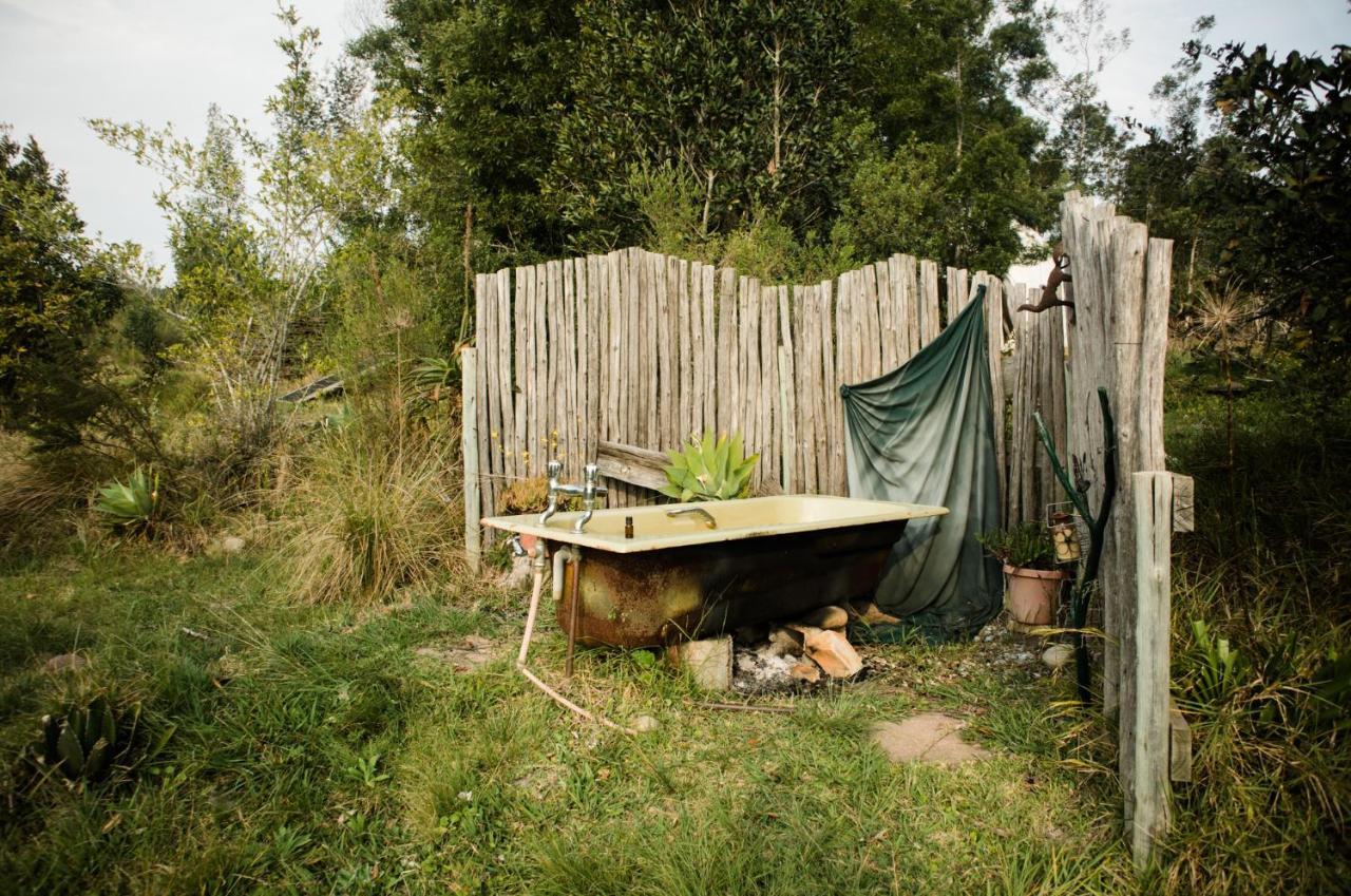 Forest Harmony Knysna Exterior photo