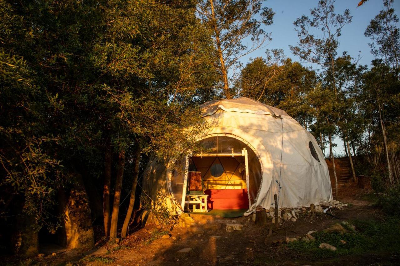 Forest Harmony Knysna Exterior photo
